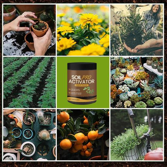 Порошковый активатор почвы Удобрение, богатое питательными веществами, стимулятор роста растений Порошок для активации почвы для почвенной смеси Рассада Компост Растения для помещений и улицы