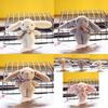 Adorable Plush Bunny Keychain Mini Stuffed Toy Cute Rabbit Bag Charm Pp Cotton