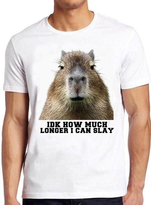 Idk How Much Longer I Can Slay Capybara Sarcastic Dan Gift Tee T Shirt M1066