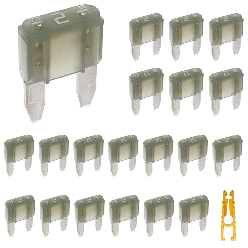 20pcs Mini Blade Fuse and 1 Fuse Puller 10A 32V Fast Blow for Replacement Fuses for Car/RV/Truck/Motorcycle/Boat (Mini 10 Amp)