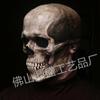 Halloween skull mask with open mouth, party costume, prank prop, scary decoration for haunted houses and escape rooms, skull ornament