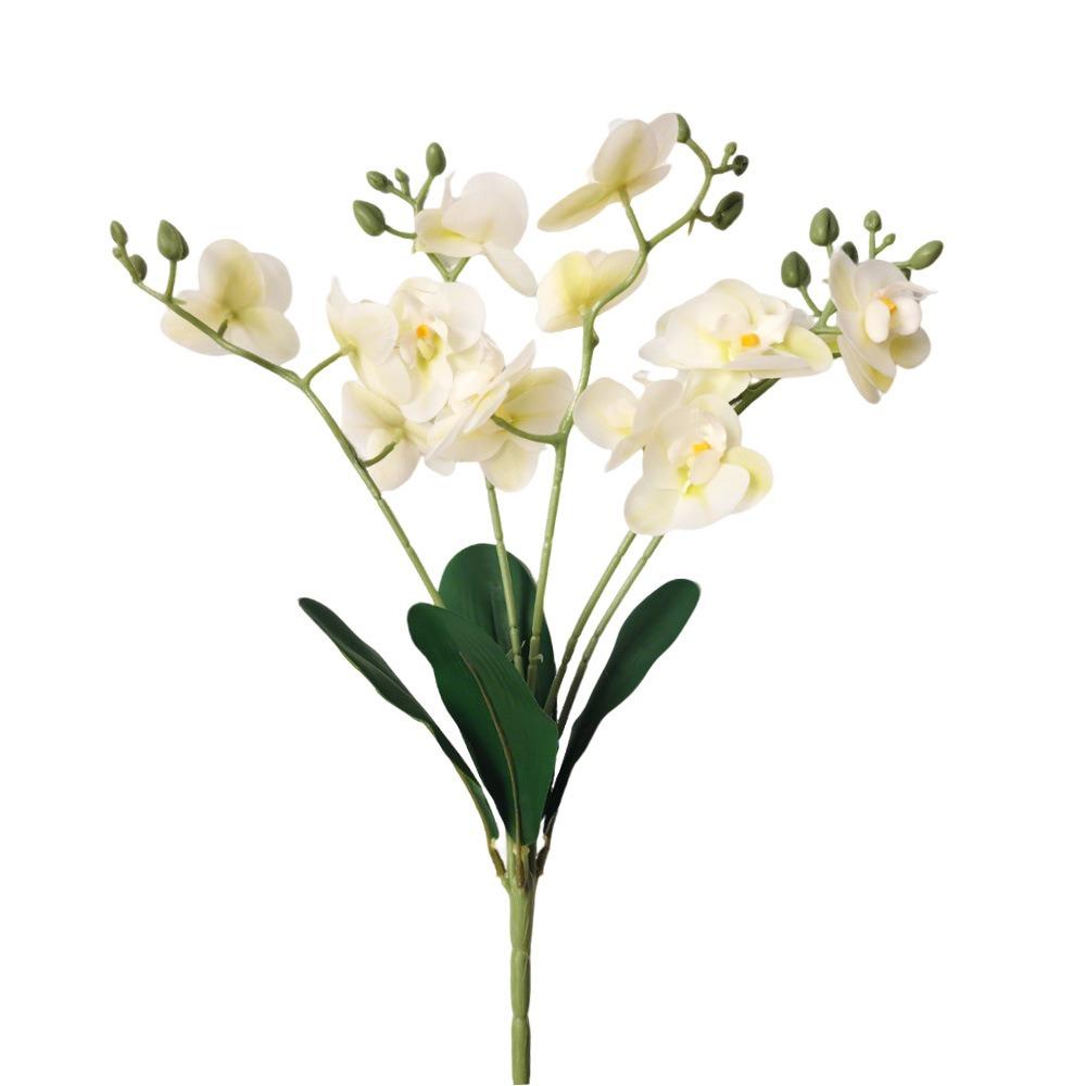 5 Heads Simulation Orchid Flowers Realistic Faux Phalaenopsis Fake Flower  Home Living Room Decor