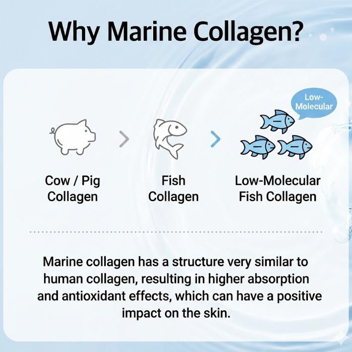 Mizon Collagen Power Lifting Toner 120ml (3 Options)