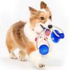 Dingdongpet Pet Suction Type Self-tugging Toy 6.8 X 40 Cm, Blue, 1 Piece