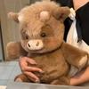 Креативный подарок Мягкая свинка Плюшевое животное Плюшевая подушка Эмоциональная поддержка Милая плюшевая игрушка 17,7 дюйма Плюшевые игрушки Плюшевая