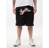 Спортивные шорты Jigga Wear Basketball