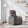 VidaXL Recliner, Chair with Footrest, Seat with Backrest and Armrests, Living Room Furniture, Modern, 374204