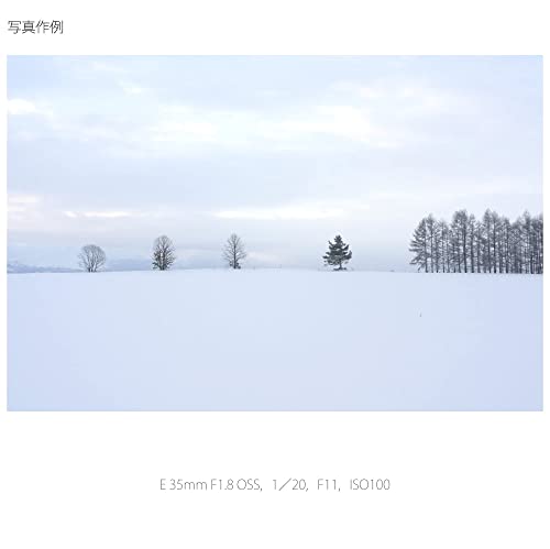 Sony Объектив с одним фокусом E 35 мм F1.8 OSS для Sony E mount APS-C только SEL35F18