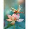 5d DIY Diamond Painting Cross Stitch Lotus and Dragonfly Diamond Embroidery Flowers Mosaic Full Round Drill Home Decor Crafts