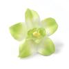 10/20Pcs Artificial Orchid Head Fake Flower Used for Women and Girls To Hairpin DIY Bridal Wedding Decoration Wreath Accessories