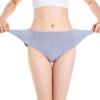 Plus Size Panties Women's Underwear Seamless Panties Mom Briefs