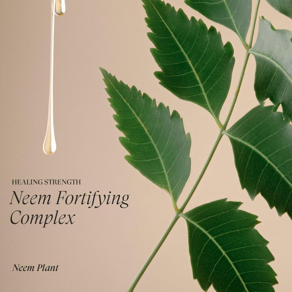 L Anza heaLing Strength Conditioner 8.5 Oz