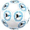 DSC Arminia Bielefeld size5 Soccer Ball, colorful, suitable for all ages, machine-stitched, PVC material, competition grade,durable and high bounce