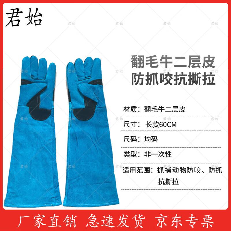 Professional Dog Catching & Restraint Equipment