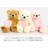 Sears Teddy Bear Plush Toy Jewelry Box Gift Set Heart-Shaped (Pearl White) tdt-01-w