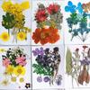 Pressed Dried Flower DIY Kit: Bookmark, Resin, & Phone Case Embossing Materials