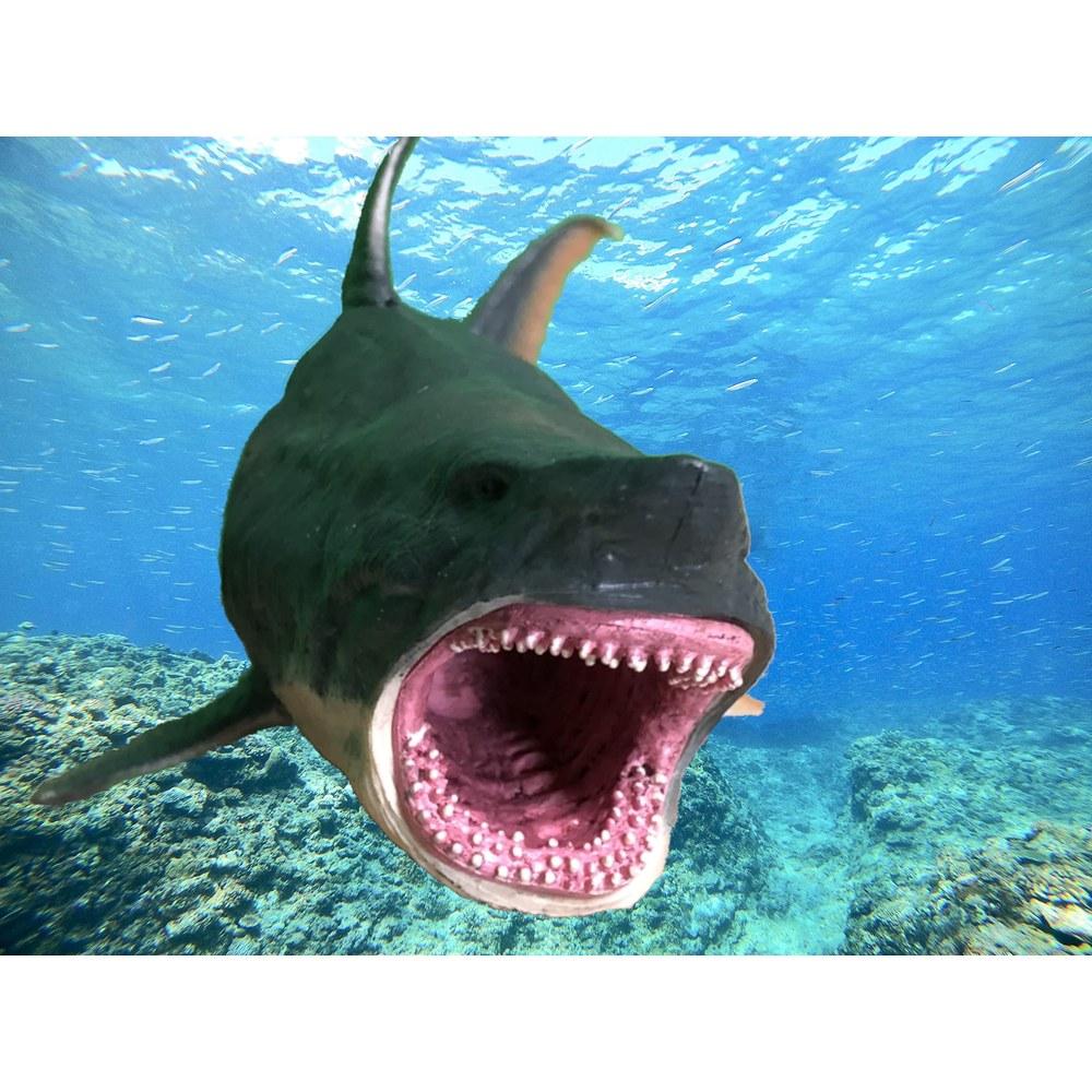 Crop Megalodon Ancient Fish Figure 25cm Dinosaur Model