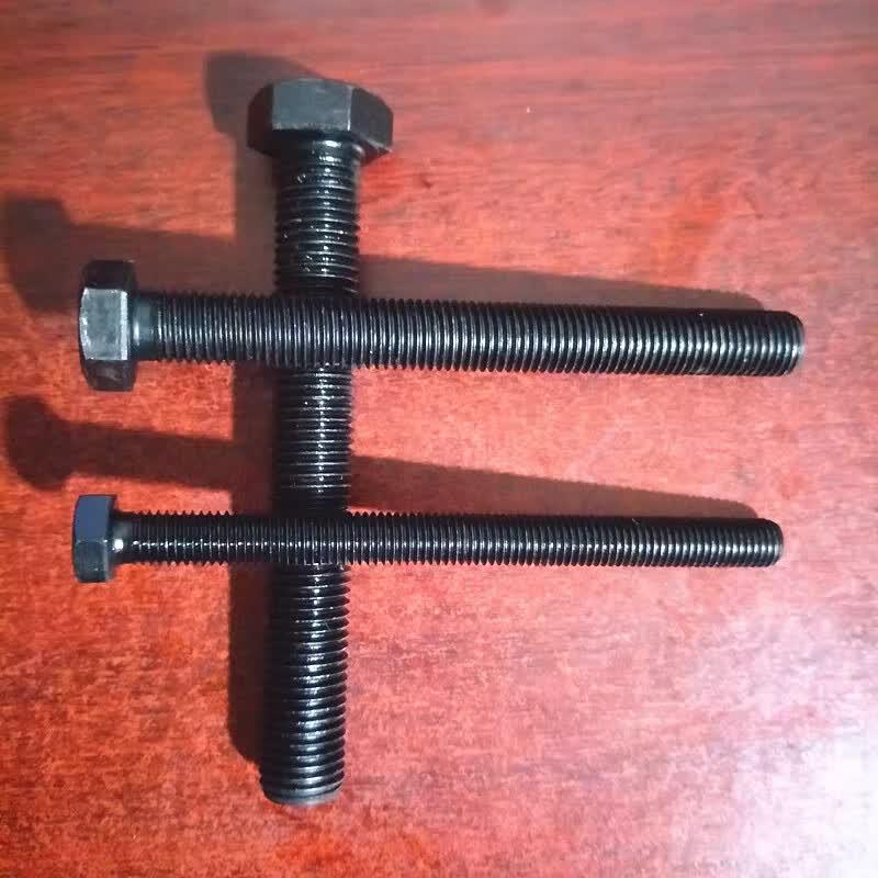 12.9 Grade Blackened Carbon Steel Full Thread Hex Head Bolt