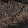Anhua Baishaxi 2013 Yr Classic 1953 Fucha Dark Tea Yu Pin Fu Tea Brick Tea Royal Fucha Hei Cha 318г