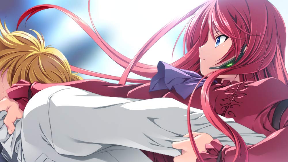 Девушка в любви и щит защиты Дева Мария стандартного издания PSVita ~Розы~ -