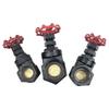 Copper Core Cast Iron Threaded Gate Valve