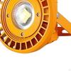 Floodlight Light Historic Building Billboard Lighting Lamp 30W