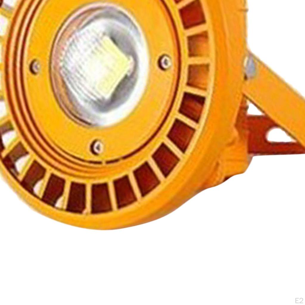 Floodlight Light Historic Building Billboard Lighting Lamp 30W