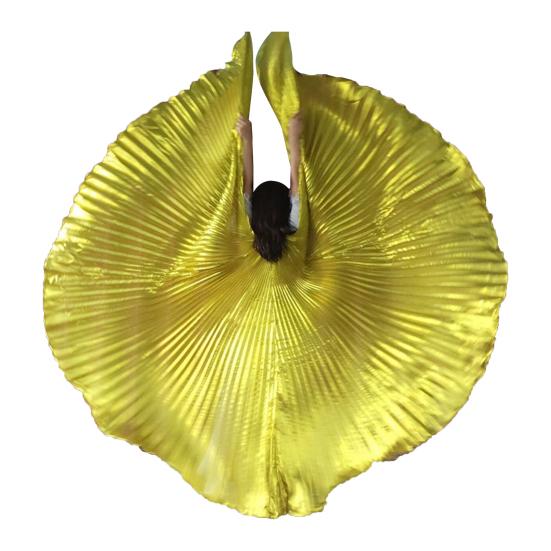 1 Set Performance Telescopic Rod 360 Wings Egyptian Degree Belly Dance Cape with Costume Pleated Bright
