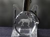 American Saddlebred – Pendant with a picture of a horse, crystal key ring in a gift box | Art-Dog
