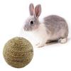 Woven Guinea Pigs Biting Gerbils Hamsters Pet Balls Chewing Ball Teeth Cleaning Toy Rabbit Toys