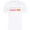Детская футболка Castore Red Bull Racing F1, размер L, с логотипом спереди