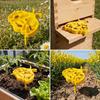 3D-printed Insect Water Cup Plastic Bee Water Dispenser Bee Water Station  Balcony