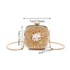 Elegant Rhinestone Evening Bag Gold/Silver Mini Lipstick Bag Retro Banquet Chain Bag  Girls