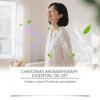 EELHOE Christmas Essential Oil Gift Set Long Lasting Home Fragrance Relaxing Aromatherapy Oil Set