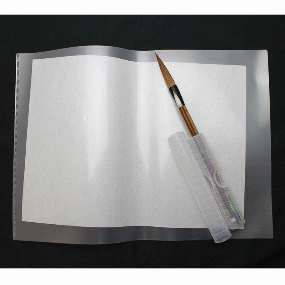Kuretake Calligraphy Crystal KN21 File,