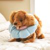 [Pet] Ошейник-подушка в форме цветка, маленький