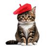 Fashionable Cat Beret Hat Red Black Cat Sunscreen Hat Creative Pet Costume  For Cat Dog