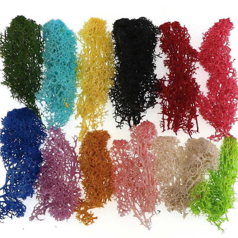 Искусственное растение, вечная жизнь, мох, мини-сад, микропейзаж, аксессуары, садовое украшение для дома