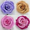 Rose Synthetic Flowers For Wedding And Home Decor With Multicolor Silk Fabric For Photo Shoots