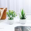 Поддельные цветы, имитация дерева, горшечные растения, офисный стол, украшения в горшках, искусственные растения алоэ, бонсай