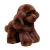 Simulated Poodle Doll Plush Toy Teddy Dog Doll Doll Girl/Child Birthday Gift
