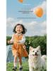 Children’s Music and Story Player: Early Education Pocket Device Featuring Chinese Songs and Ancient Poetry