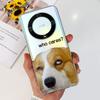 Чехол для Honor X9b Magic6 Lite Популярный Роскошный Расписной Чехол Мягкий Силиконовый Чехол для Телефона Для Honor Magic 6 Lite HonorX9b Fundas Capa