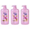 Rejoice Daily Care Hydrating Smooth Shampoo Family Pack