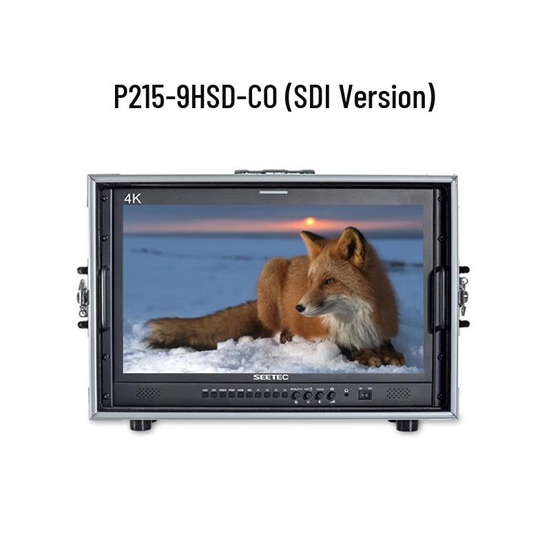 SEETEC 21-inch 4K Director Monitor with HDMI & SDI
