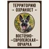 Металлическая табличка «Осторожно, злая собака», табличка на забор или дверь 18x25 см