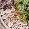 20PCS Small Footprint Paving Stones Decorative Footprint Micro Landscape Decoration  Pathway
