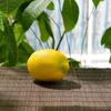 6/10PCS Christmas Wedding Lifelike Kitchen Artificial Lemon Fake Fruit Decoration Simulation