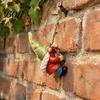 Weatherproof Patio Statues Hanging Gnome Statue Decoration, Climbing Gnomes Figurine, Waterproof Outdoor Lively Courtyard Accents Ornament for Garden