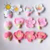 12PCS DIY Refrigerator Magnet Peach BlossomCherry Magnets Nordic Personalized Home Decor Whiteboard Po Message Board Home